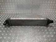 Ladeluftkühler Ford Focus II (DA, DP, HCP) 8V619L440AC