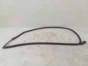 Türgummi links vorne Audi A5 (8T) 8S8831707