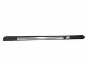 Schwellerinnenverkleidung vorne links AUDI A8 D3 (4E2, 4E8) 4.0 TDI quattro 4E0853986C