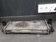 Ladeluftkühler Renault Trafic II Kasten (FL)