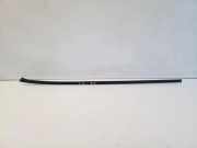 Zierleiste Windschutzscheibe Frontscheibe VW PASSAT B6 (3C2) 2.0 TDI 16V