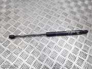 Gasdruckfeder Fiat 500X (334) 9569760480N