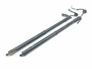 Heckklappe Gasdruckfeder links NISSAN X-TRAIL (T32_) 1.6 DIG-T (T32) 905614CL0A