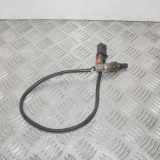 Sauerstoffsensor (Lambdasensor)