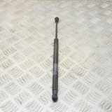 Heckklappe Gasdruckfeder links