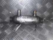Abgaskühler Citroen C8 (E) 9640843480