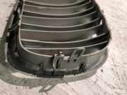 Kühlergrill oben BMW X6 (E71, E72) 7185223