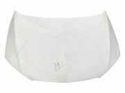 Motorhaube SEAT TOLEDO IV (KG3) 1.6 TDI 5JA823166A