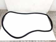 Türgummi links vorne VW Passat B7 (362) 561867912