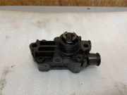 Kraftstoffpumpe Mercedes-Benz E-Klasse (W210) A6110900250