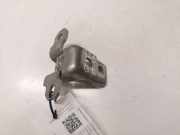 Türscharnier hinten rechts Renault Grand Scenic III (JZ) 804000016RD