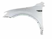 Kotflügel links vorne VW Tiguan II (AD) 123456