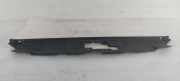 VERKLEIDUNG SCHLOSSTRÄGER TOYOTA AVENSIS (_T22_) 2.0 D-4D (CDT220_) 5314105010