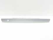 Kennzeichenbeleuchtung Verkleidung MAZDA PREMACY (CP) 2.0 TD C10050811