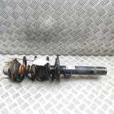 Stoßdämpfer vorne links BMW X4 (G02, F98) xDrive20d 6890943