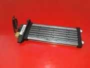 Elektrischer Schulterschulterkühler AUDI A4 (8EC, B7) 2.7 TDI 983682B