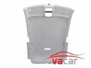 Dachverkleidung VW POLO (6R, 6C) 1.6 BiFuel 6C3867501A