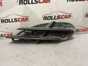 Gitter vorne unten MERCEDES-BENZ S (W220) S 500 (220.075, 220.175, 220.875) A2208851323