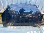 Motorhaube FORD C-MAX (DM2) 1.8 TDCi