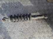 Stoßdämpfer hinten rechts CITROËN C5 I Break (DE_) 2.0 HDi (DERHSB, DERHSE) 03071000522 9682474680