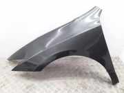 Kotflügel vorne links RENAULT LAGUNA III (BT0/1) 2.0 dCi (BT01, BT09, BT12, BT1S) 631018221R