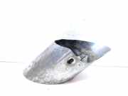 Auspuffblende BMW X6 (E71, E72) 120721901214