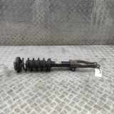 Stoßdämpfer vorne links