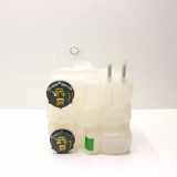 Ausgleichsbehälter FORD KUGA III (DFK) 1.5 EcoBlue PZ138A80KA