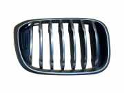 Vorderer oberer Gitter BMW X3 (G01, F97) xDrive 30d 7464922