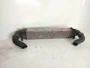 Ladeluftkühler MERCEDES-BENZ C (W204) C 220 CDI (204.002) A2045000300