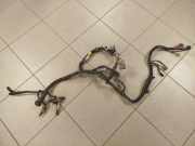 Motor Kabelbaum NISSAN TERRANO II (R20) 2.7 TDi 4WD