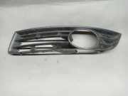 Blende Nebelscheinwerfer VW Passat B6 Variant (3C5) 3C0853665A