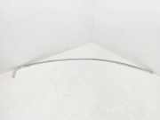 Dachleiste links RENAULT LAGUNA III (BT0/1) 2.0 dCi (BT0M, BT0N, BT19) 738500003R