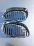 Vorderer oberer Gitter BMW 5 Touring (E61) 530 d