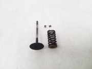 Ansaugkrümmer Nissan Murano I (Z50)