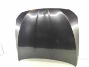 Motorhaube BMW 5er (F10)