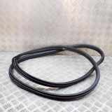 Türdichtungsgummi vorne links BMW iX3 (G08) Electric (286 HP) 7393423