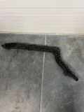 Stoßstangenhalterung hinten links HONDA CR-V IV (RM_) 1.6 i-DTEC (RE6) 71598T0A