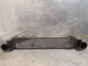 Ladeluftkühler Mercedes-Benz C-Klasse (W203) 2035000600