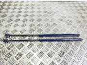 Heckklappe Gasdruckfeder links MERCEDES-BENZ A (W169) A 180 CDI (169.007, 169.307) A1697400345 1697400345