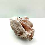 Lenkrad Airbag PORSCHE CAYENNE (9Y0/9Y3) Cayenne S 9Y0880201D