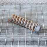 Feder vorne links MERCEDES-BENZ SL (R129) 300 SL-24 (129.061) A1293210704 A1293211704