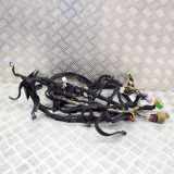 Kabelbaum Innenverkleidung CITROËN C6 (TD_) 2.7 HDi 9664261680