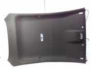 Dachverkleidung FORD FIESTA VI 1.6 ST C1BBA51918ME35B8