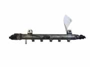 Einspritzleiste Opel Antara (L07) 0445214106