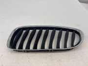 Vorderer oberer Gitter BMW Z4 Roadster (E85) 2.0 i 51137051959
