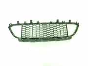 Gitter vorne unten BMW 3 (F30, F80) 328 i 8054132