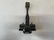 Türanschlag hinten links BMW 5 (G30) 520 d 7341033