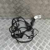 Türverkabelung hinten rechts BMW X7 (G07) xDrive40d M Sport 5A47913