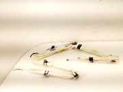 Airbag Dach links Skoda Superb II (3T) 3T0880741